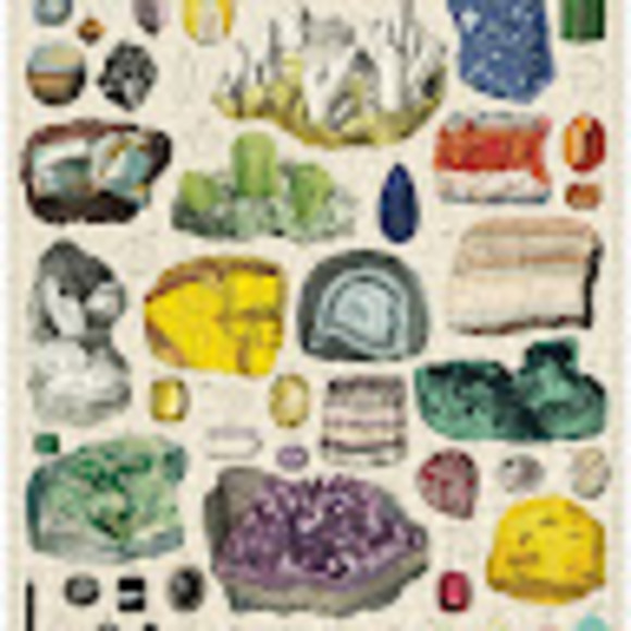 Meet your Posher, Sasha - Picture 1 of 1